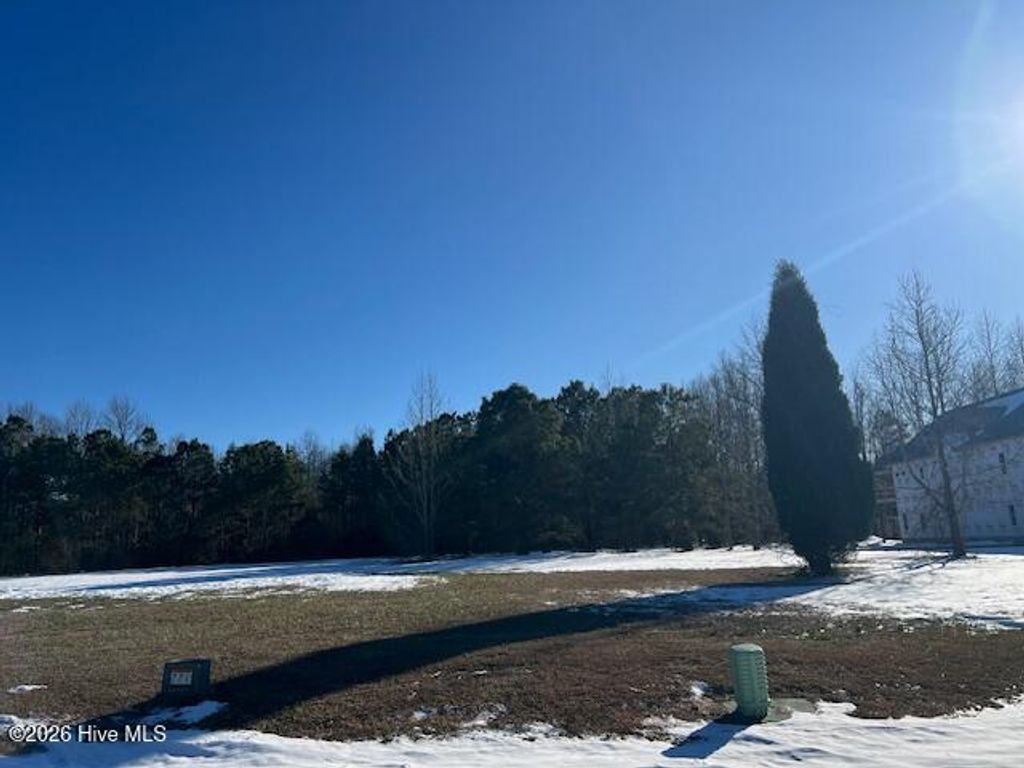 Photo of 27 Eagle View Lane, Blounts Creek, NC 27814 (MLS # 100552623)