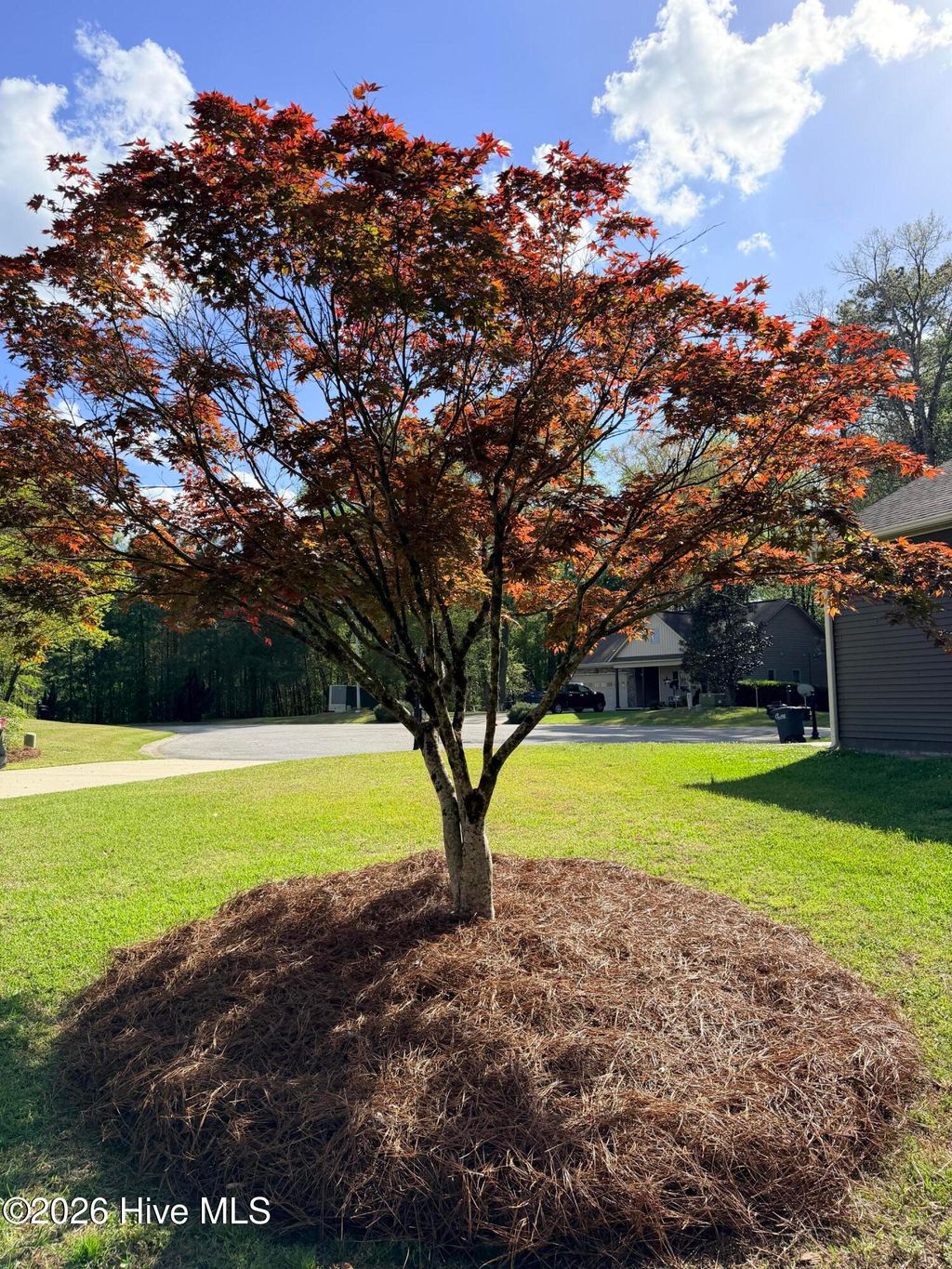 Photo of 1 Joshua Drive, Chocowinity, NC 27817 (MLS # 100565563)