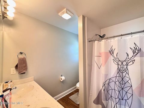 Tiny photo for 141 Waterford Way, Maysville, NC 28555 (MLS # 100563247)