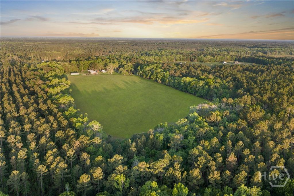 Photo of 1151 Harry Lindsay Road, Guyton, GA 31312 (MLS # SA353317)