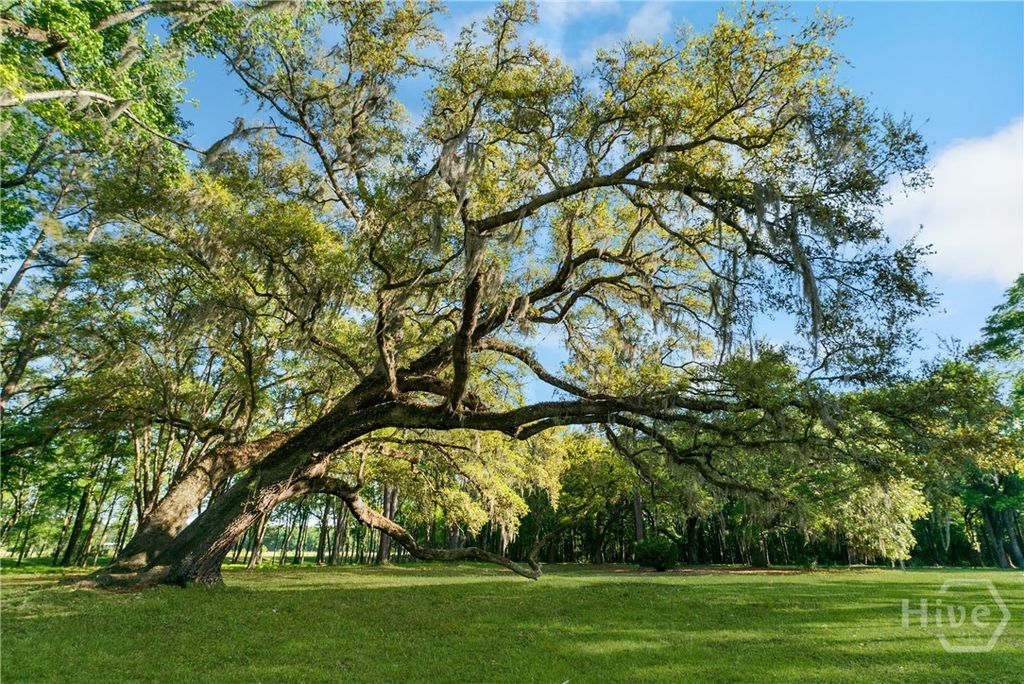 Photo of 1151 Harry Lindsay Road, Guyton, GA 31312 (MLS # SA353317)