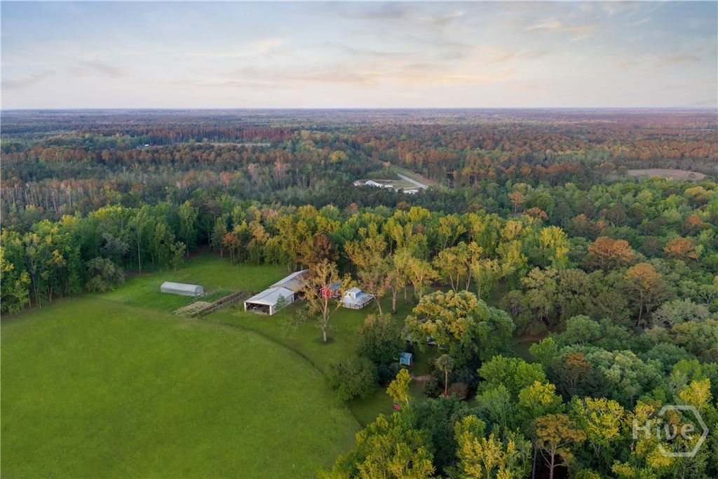 Photo of 1151 Harry Lindsay Road, Guyton, GA 31312 (MLS # SA353317)