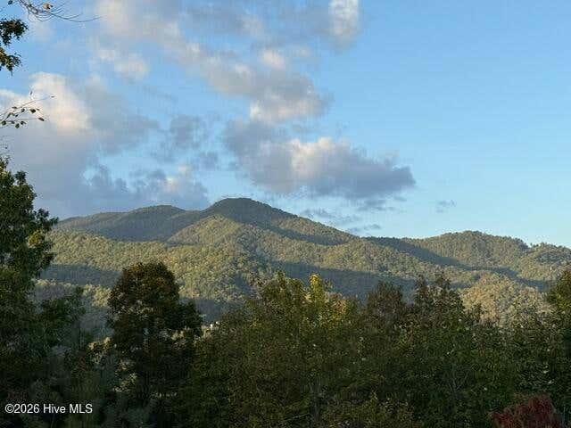 Photo of 5 Downings Creek Road, Hayesville, NC 28904 (MLS # 100587193)