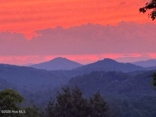 5 DOWNINGS CREEK RD, HAYESVILLE, NC 28904 - Image 5dd7ee3acb27e15ecdc5056b07886c8d/3859929003