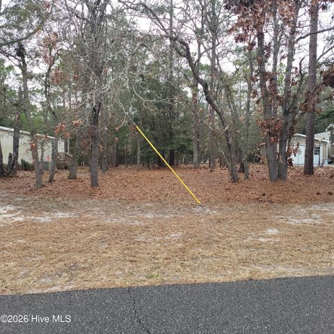 Photo of 3317 Marlin Drive, Bolivia, NC 28422 (MLS # 100556805)