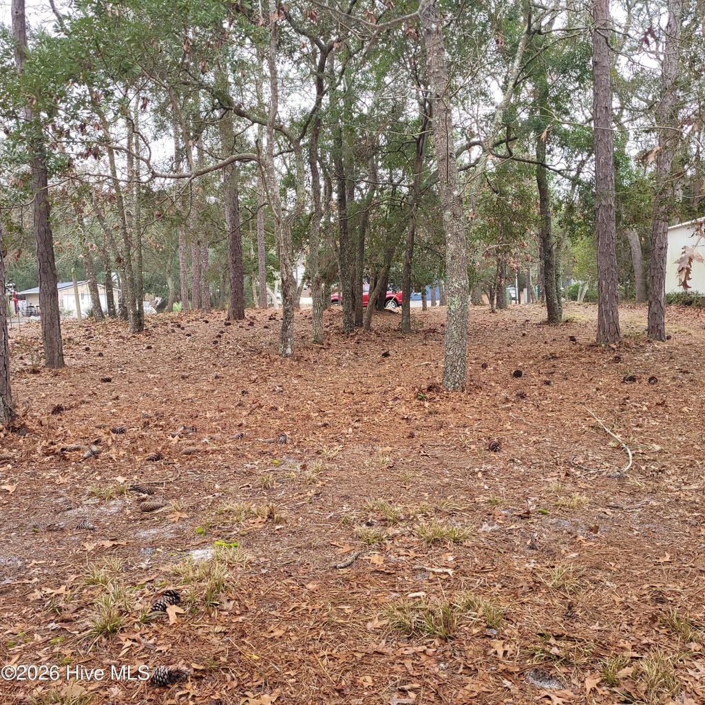 Photo of 3317 Marlin Drive, Bolivia, NC 28422 (MLS # 100556805)