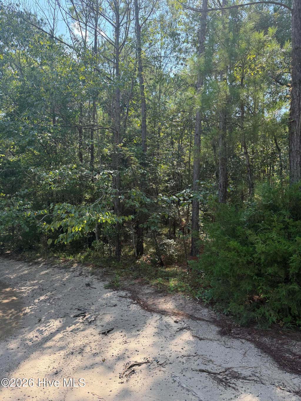 Photo of 2861 Robin Drive SW, Shallotte, NC 28470 (MLS # 100598840)