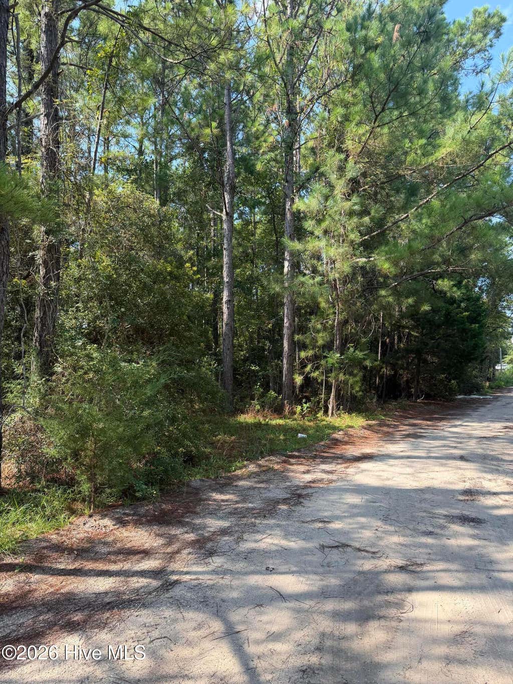 Photo of 2861 Robin Drive SW, Shallotte, NC 28470 (MLS # 100598840)