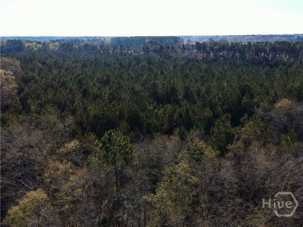 Photo of 0 Clifton Road, Statesboro, GA 30458 (MLS # SA349837)