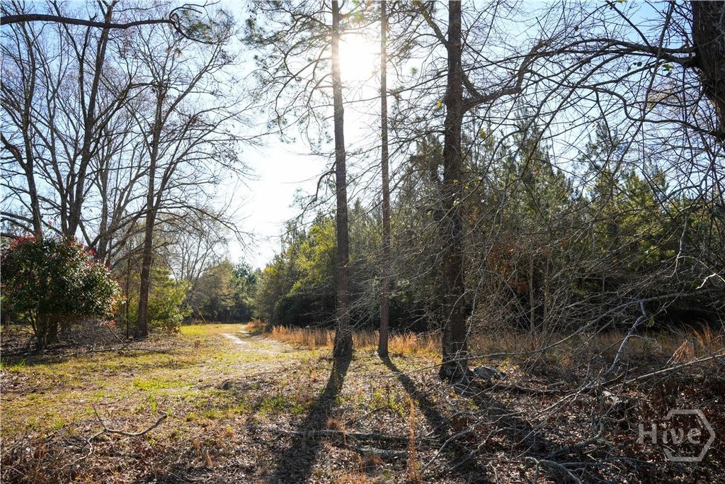 Photo of 0 Clifton Road, Statesboro, GA 30458 (MLS # SA349837)