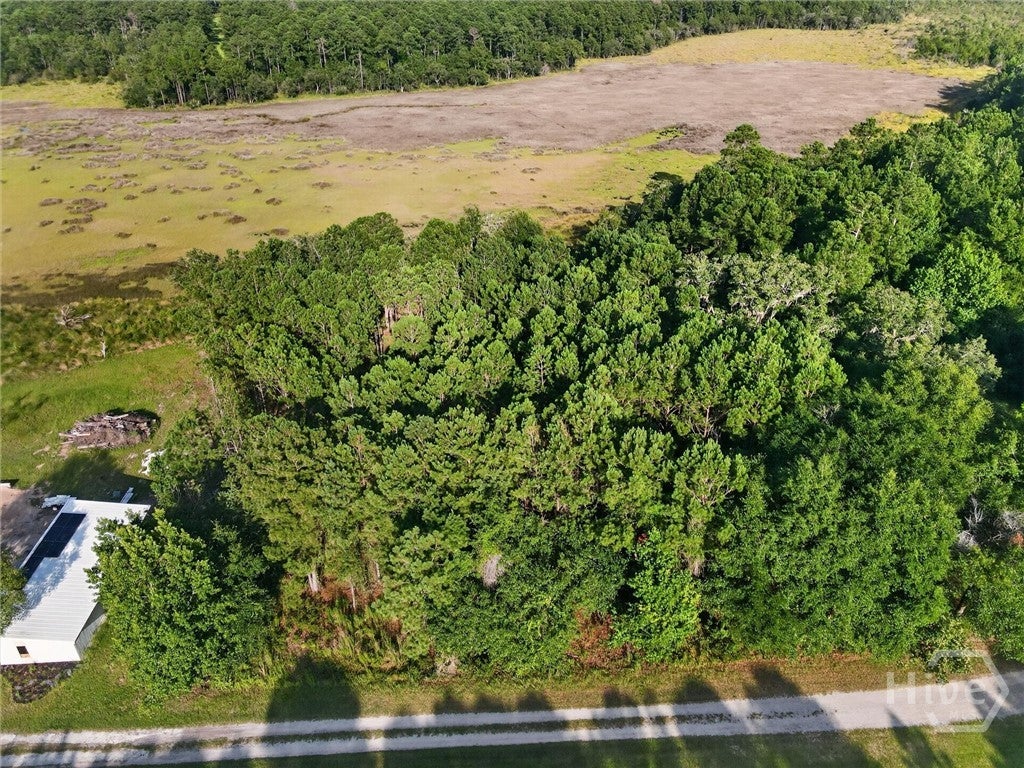 Photo of 23 Barnstorm Road NE, Townsend, GA 31331 (MLS # SA360164)