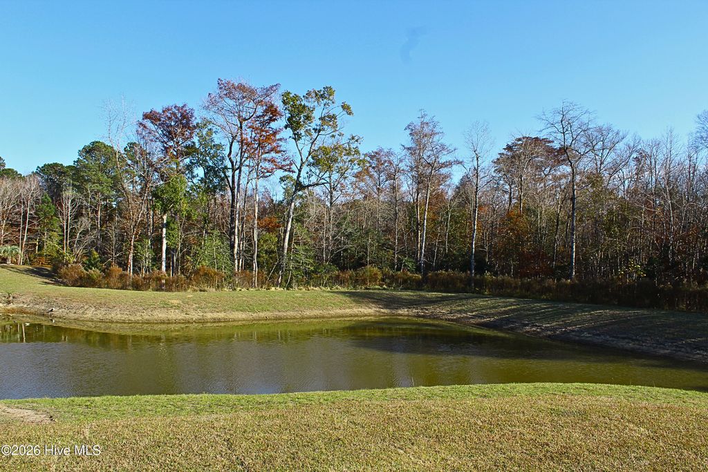 Photo of 1077 High Tide Street SE #3001, Bolivia, NC 28422 (MLS # 100535945)