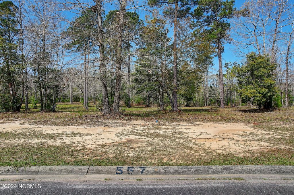 Photo of 557 Sanctuary Point SW, Supply, NC 28462 (MLS # 100495001)