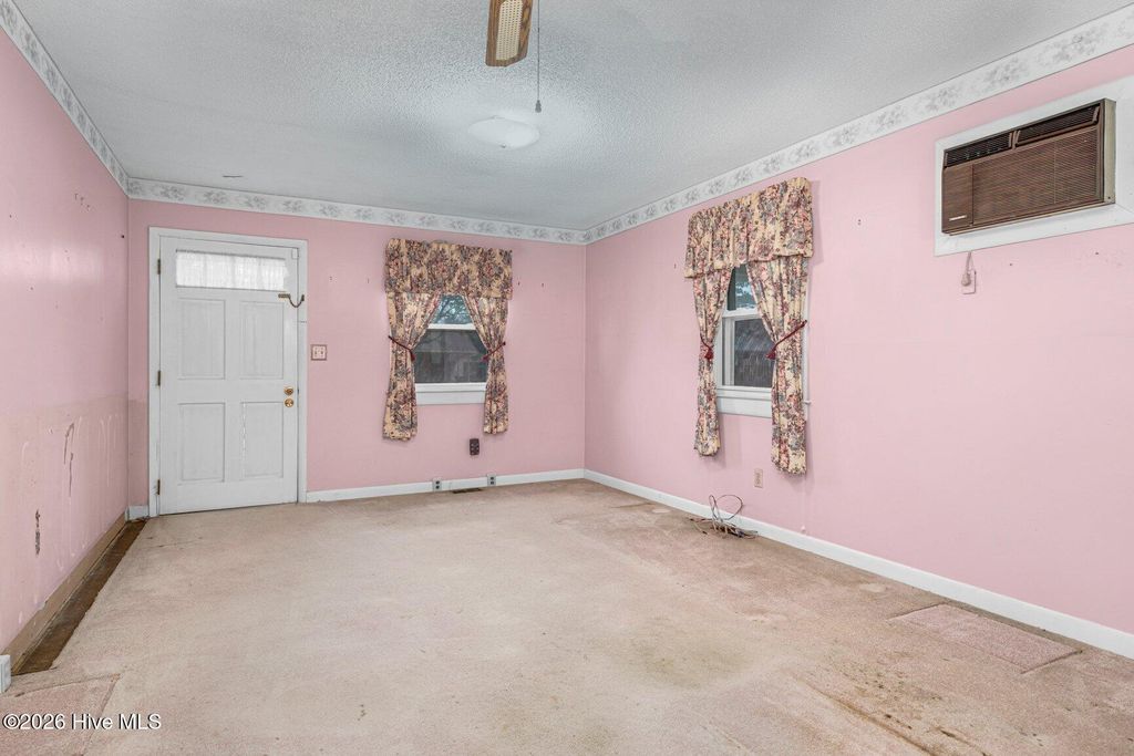 Photo of 209 Williams Drive, Black Creek, NC 27813 (MLS # 100561277)