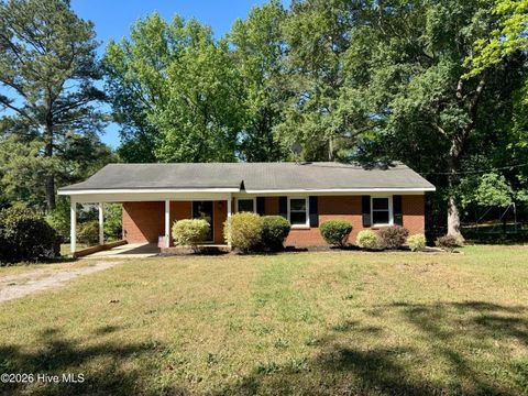 Photo of 1003 Rainwater Lane, Rockingham, NC 28379 (MLS # 100568281)