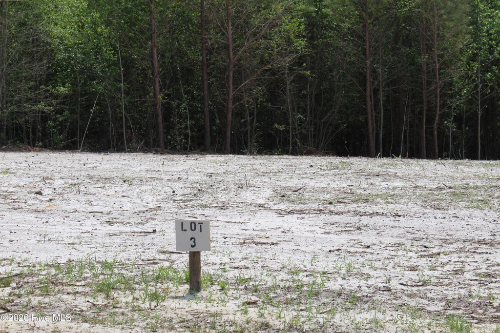 Photo of 119 H.T. Brown Lane, Magnolia, NC 28453 (MLS # 100569685)