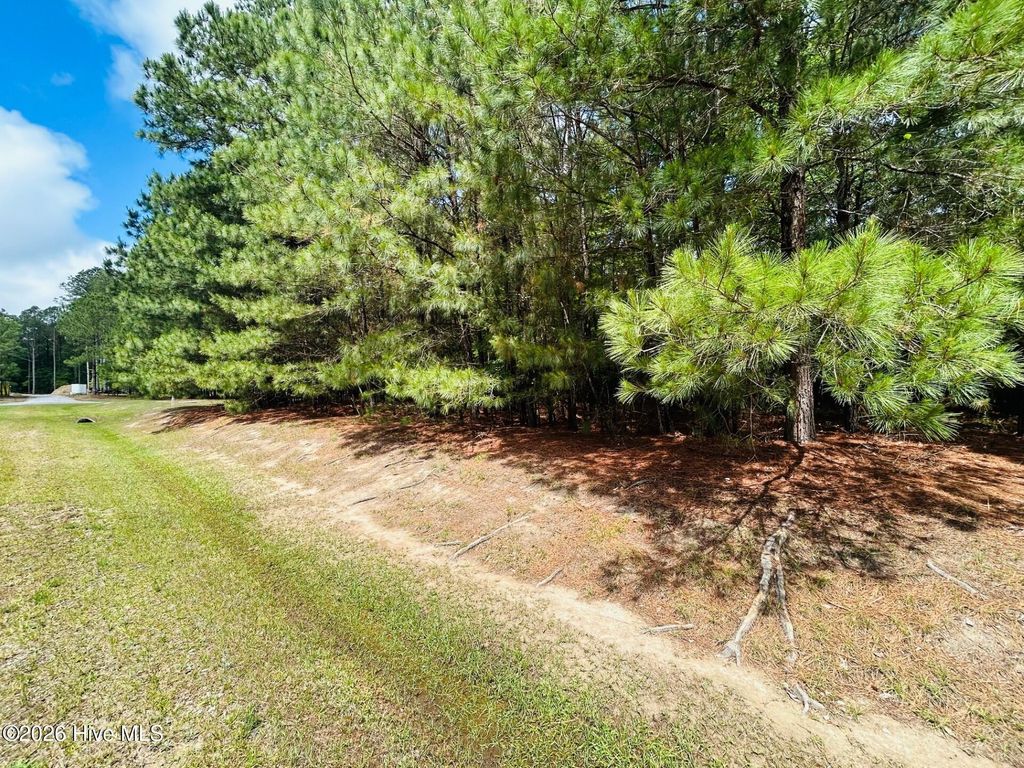 Photo of 38 Calm Harbor Street, Hertford, NC 27944 (MLS # 100576512)