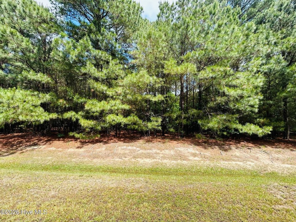 Photo of 38 Calm Harbor Street, Hertford, NC 27944 (MLS # 100576512)