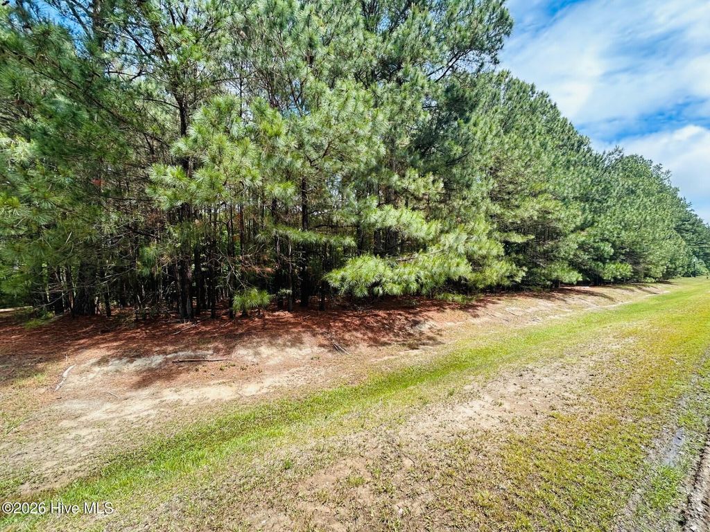 Photo of 38 Calm Harbor Street, Hertford, NC 27944 (MLS # 100576512)