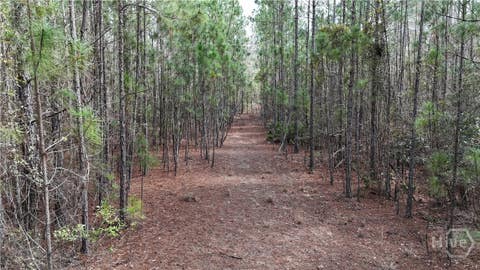 Vacant Land For Sale - LOT 1 Lila Lane<br/> Pembroke, GA 31321