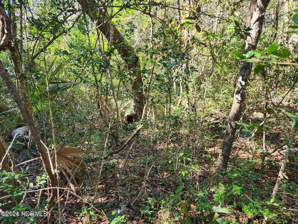 Photo of 52 Fort Holmes Trail, Bald Head Island, NC 28461 (MLS # 100564376)