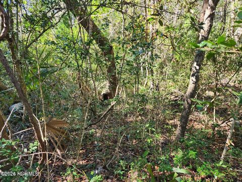 Tiny photo for 52 Fort Holmes Trail, Bald Head Island, NC 28461 (MLS # 100564376)