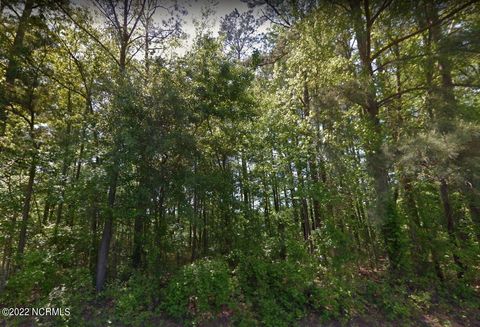 Vacant Land For Sale - 1300 Hickory Crossroads Road<br/> Kenly, NC 27542