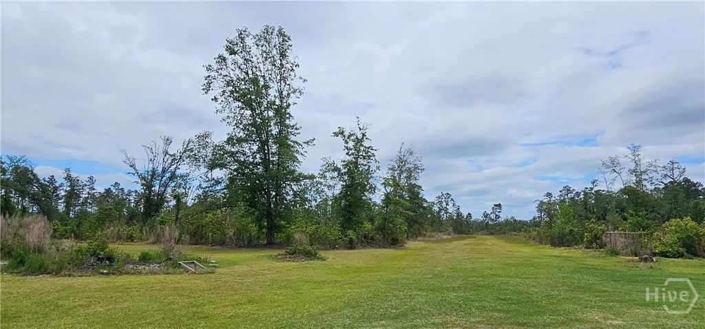 Photo of 13637 HWY 23, Glennville, GA 30427 (MLS # SA356559)