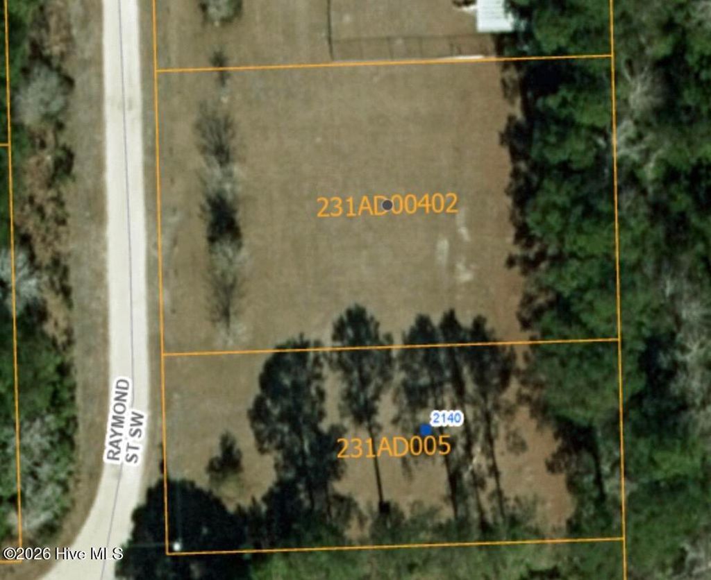 Photo of 2140 Raymond Street SW, Supply, NC 28462 (MLS # 100565329)