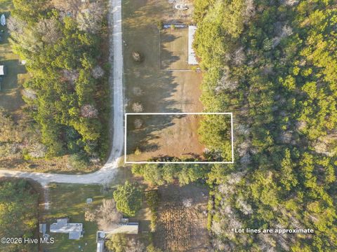Tiny photo for 2140 Raymond Street SW, Supply, NC 28462 (MLS # 100565329)