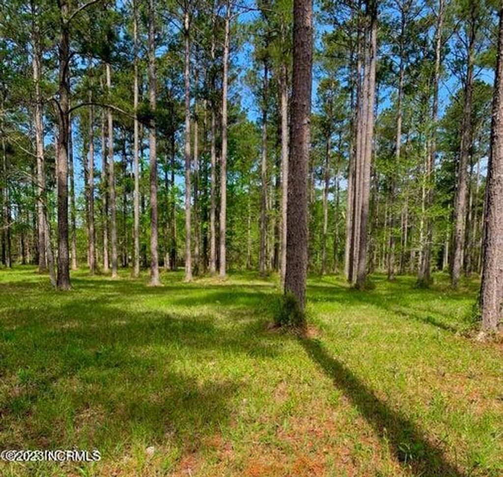 Photo of 52 Corolla Loop Road, Arapahoe, NC 28510 (MLS # 100395346)