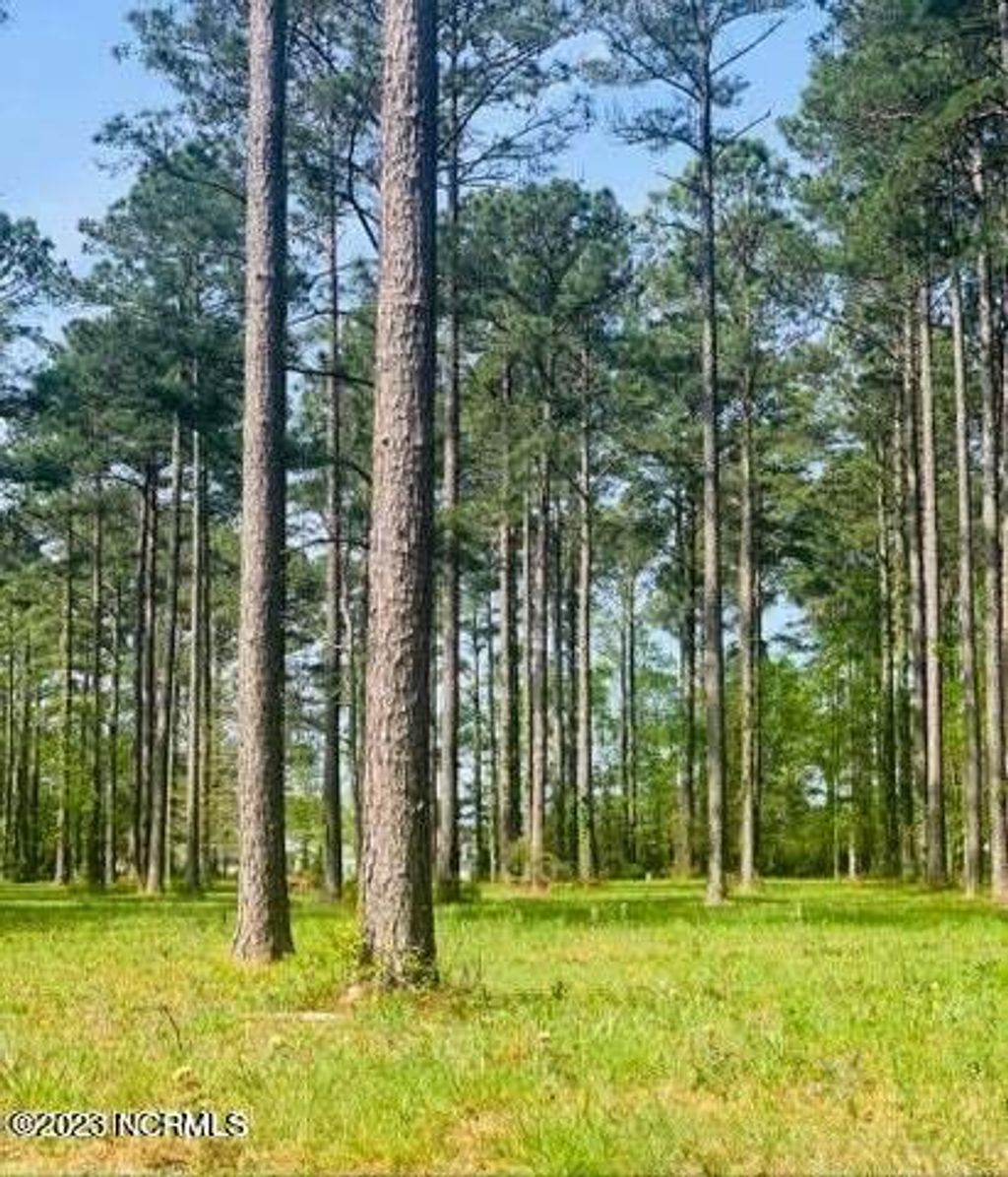 Photo of 52 Corolla Loop Road, Arapahoe, NC 28510 (MLS # 100395346)