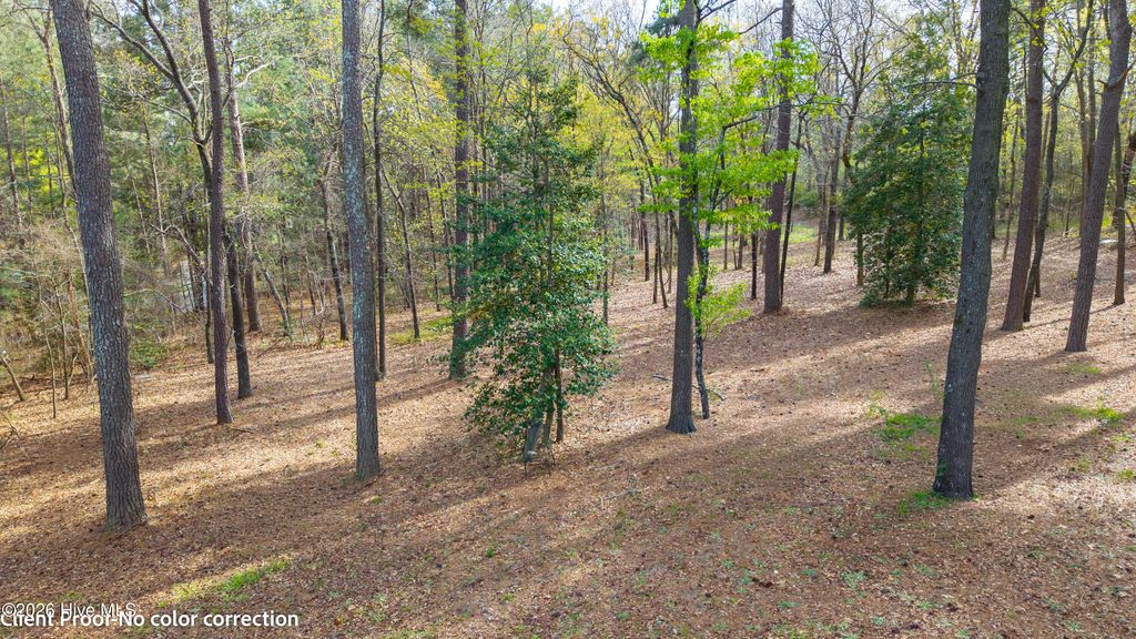 Photo of 160 T Johnson Road, Carthage, NC 28327 (MLS # 100563753)