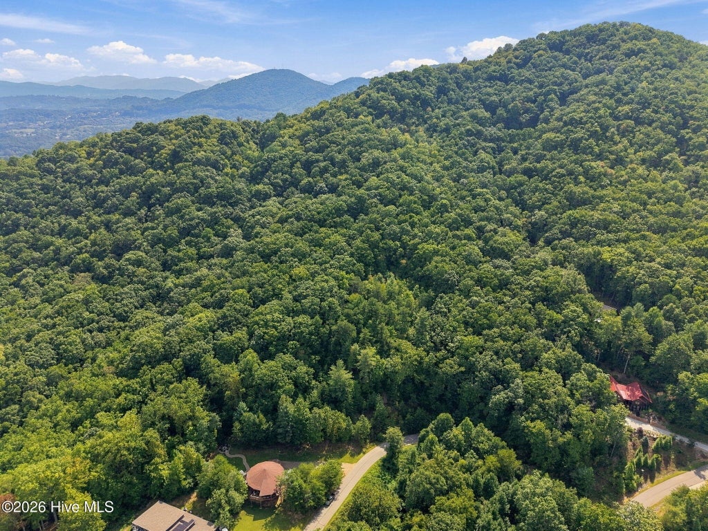 Photo of 75 Balsamwood Road, Leicester, NC 28748 (MLS # 100604943)
