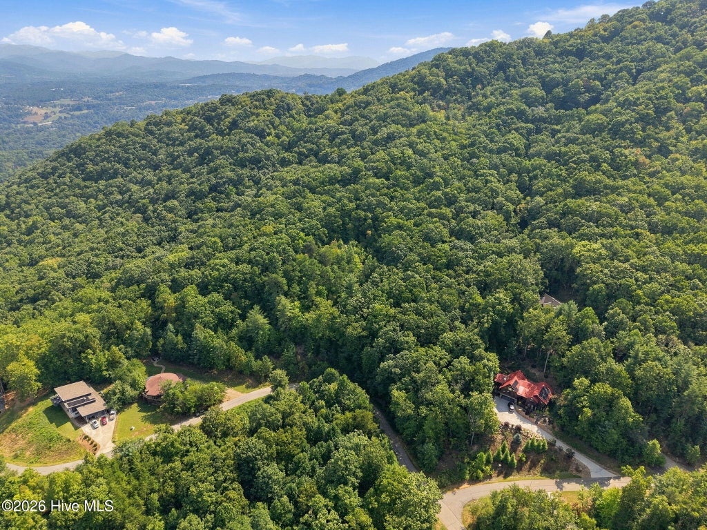 Photo of 75 Balsamwood Road, Leicester, NC 28748 (MLS # 100604943)