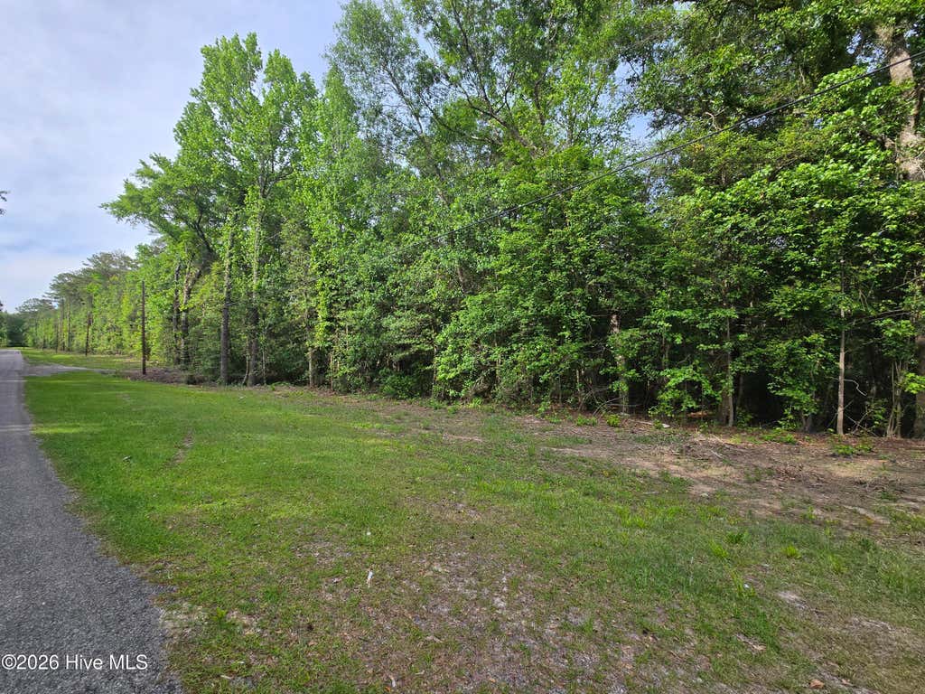 Photo of 4547 Cabins Creek Road, Vass, NC 28394 (MLS # 100590912)