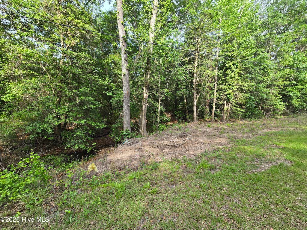 Photo of 4547 Cabins Creek Road, Vass, NC 28394 (MLS # 100590912)