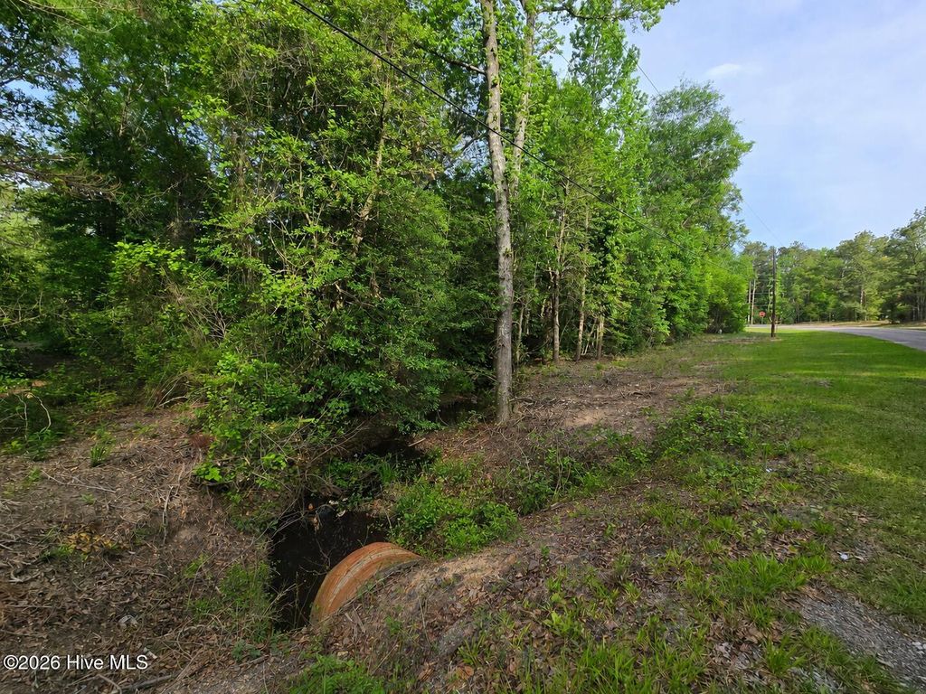 Photo of 4547 Cabins Creek Road, Vass, NC 28394 (MLS # 100590912)