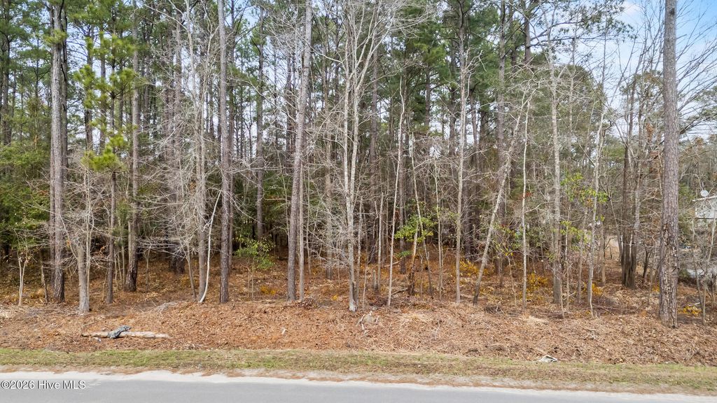 Photo of 4 Copperhead Lane, Burgaw, NC 28425 (MLS # 100551011)