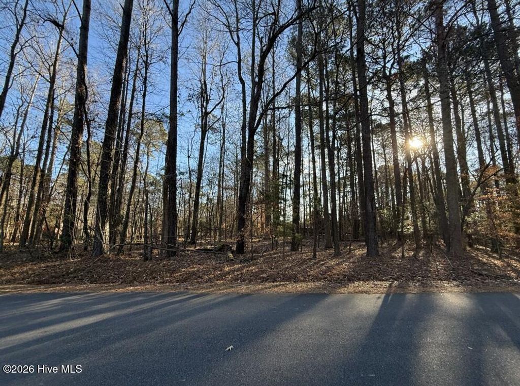 Photo of 17 Comanche Trail, Hertford, NC 27944 (MLS # 100547459)