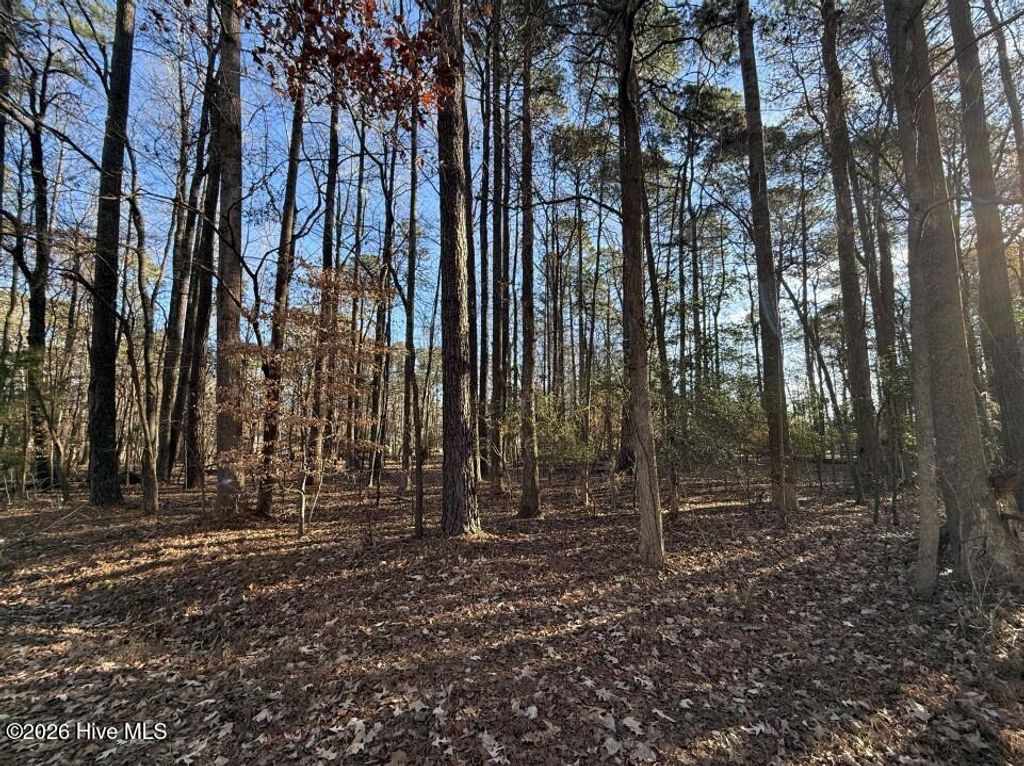 Photo of 17 Comanche Trail, Hertford, NC 27944 (MLS # 100547459)