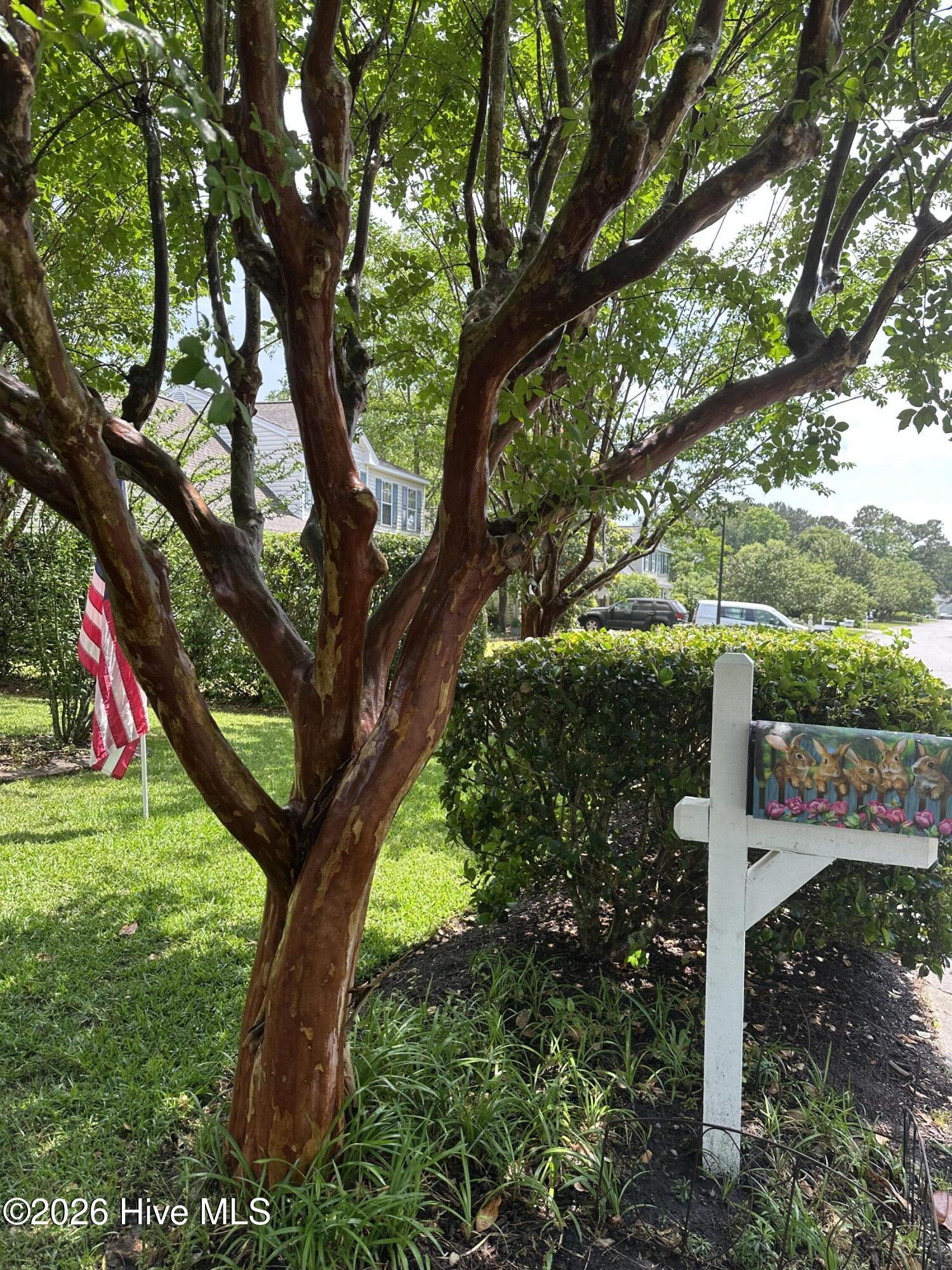4905 Split Rail Drive