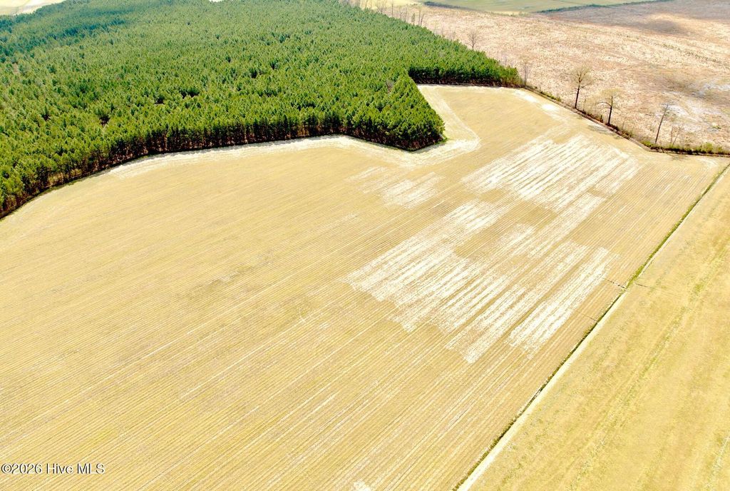 Photo of 188 Black Mingle Road, Gates, NC 27937 (MLS # 100564684)