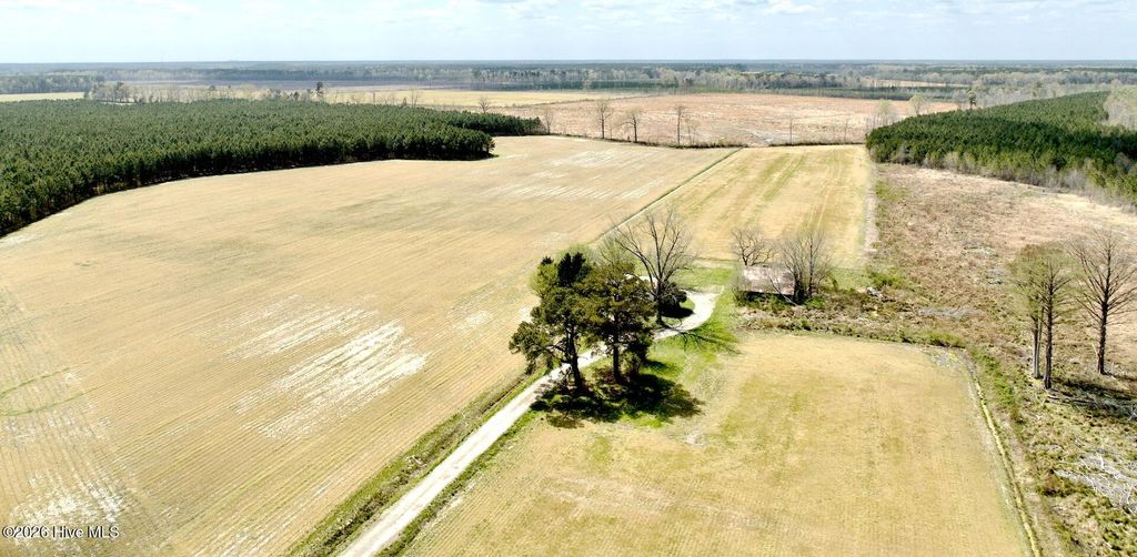 Photo of 188 Black Mingle Road, Gates, NC 27937 (MLS # 100564684)