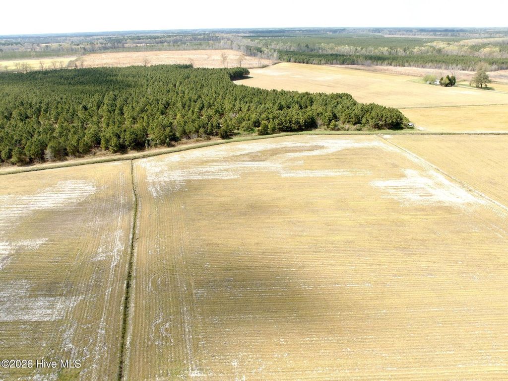 Photo of 188 Black Mingle Road, Gates, NC 27937 (MLS # 100564684)