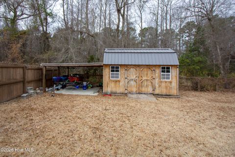 Tiny photo for 233 Blue Creek Farms Drive, Jacksonville, NC 28540 (MLS # 100555872)