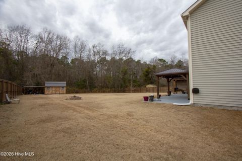 Tiny photo for 233 Blue Creek Farms Drive, Jacksonville, NC 28540 (MLS # 100555872)
