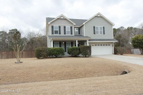 Tiny photo for 233 Blue Creek Farms Drive, Jacksonville, NC 28540 (MLS # 100555872)