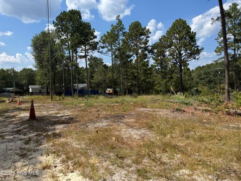 Vacant Land For Sale - Wiregrass Road<br/> Hamlet, NC 28345