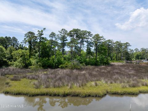 Tiny photo for 331 Chadwick Shores Drive, Sneads Ferry, NC 28460 (MLS # 100559279)